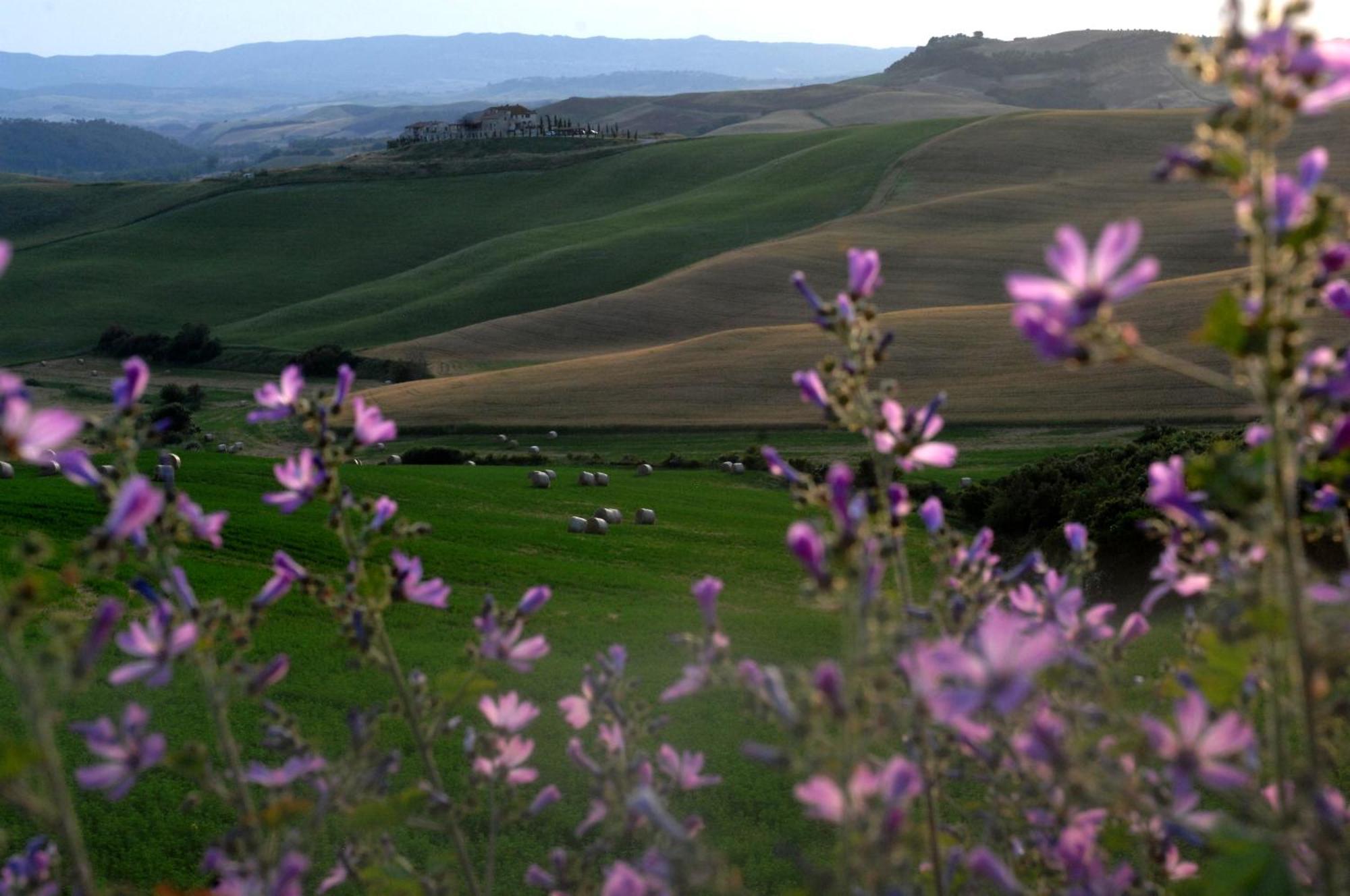 Agrihotel Il Palagetto Volterra Bagian luar foto